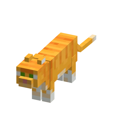 Mini cat suit