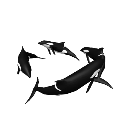 Orca Halo