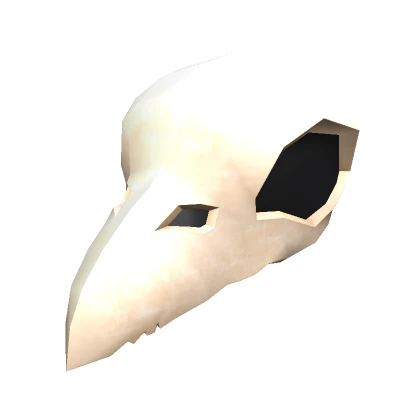 White Bird Skull