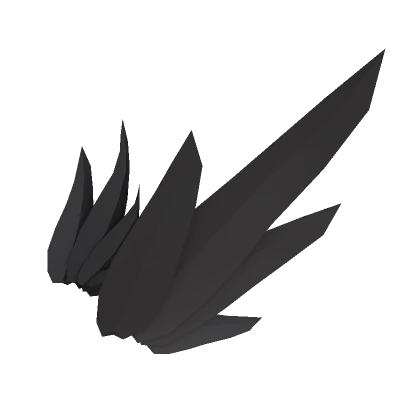 Black Bird Head Feathers