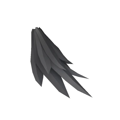 Dark Bird Tail Feathers