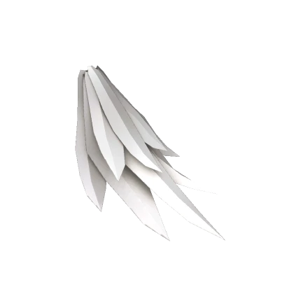 White Bird Tail Feathers