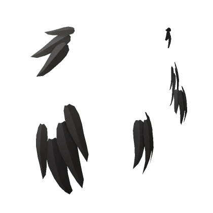 Black Bird Wing Feathers