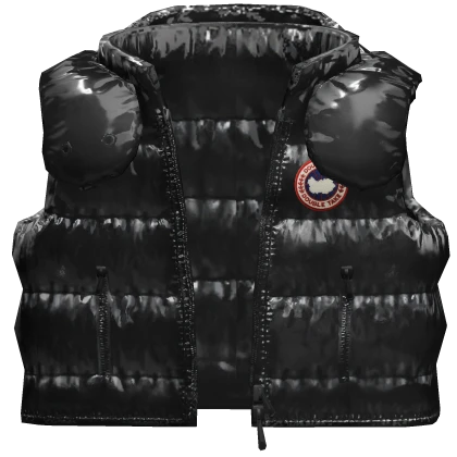 ⭐Shiny Goose Vest W/ Hood