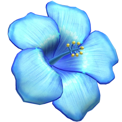 tropical summer blue hibiscus flower