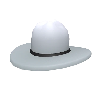 White Stetson Hat