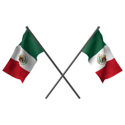 Dual Mexico Flags