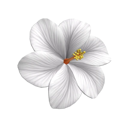 Summer White Hibiscus Flower Hairclip