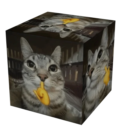 BIGGEST CAT MEW BOX