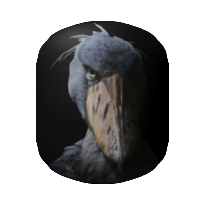 Devious Shoebill