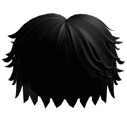 Fluffy Swept Cool Boy Hair (Black)