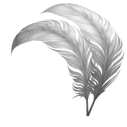 2 White Decorative Feathers