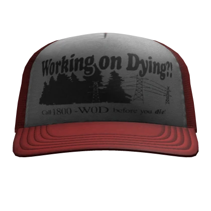 working on dying?! TRUCKER CAP RED