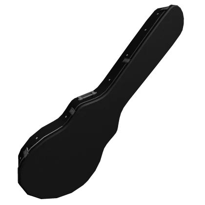 Plain Black Guitar Case