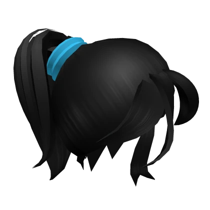 Princess Black Hair Ponytail