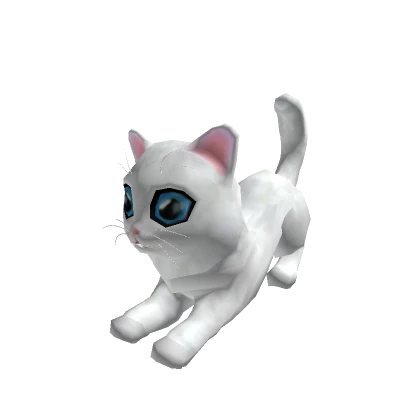 White Kitten (Play bow)