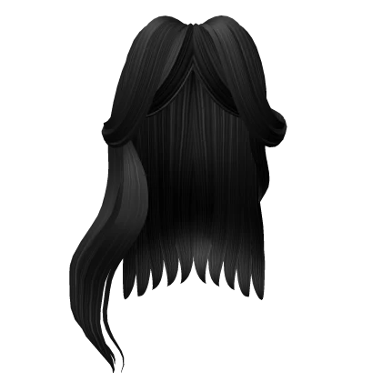 Luscious Black Long Hair w Curtain Bangs