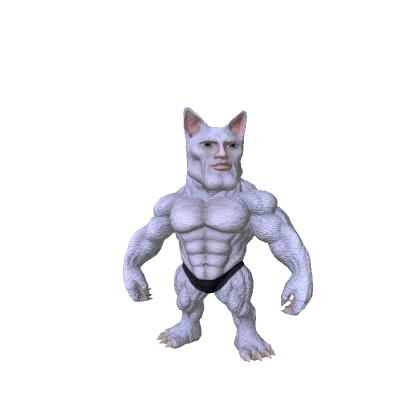 SIGMA Cat (Handsome)