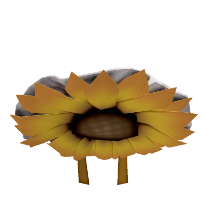 Sunflower Hat