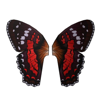 Big Butterfly Wings - Scarlet Peacock