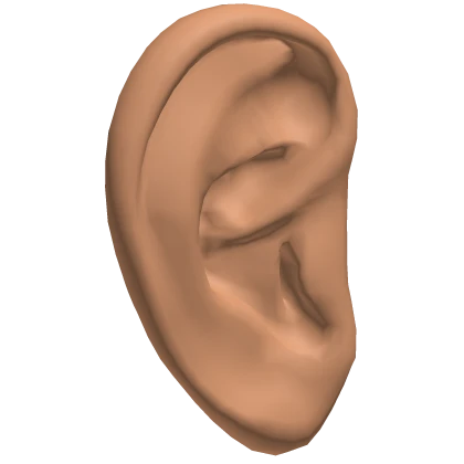 Visaje Base Ears