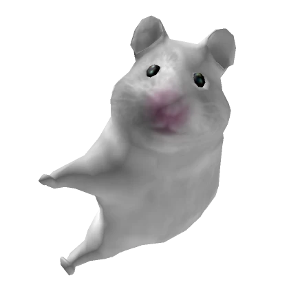 Hamster