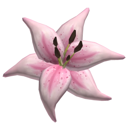 ♡ tropical summer beach lily flower in pink