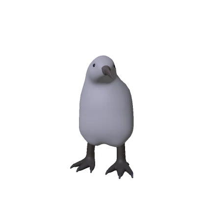 Kiwi Bird Recolorable