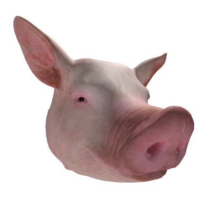 Cute Pig π Animal Funny Troll Head