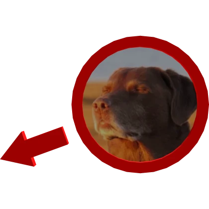 Dog Accepting Fate Red Circle