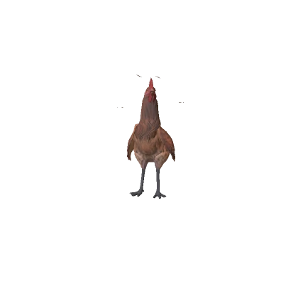 Realistic Mini Chicken