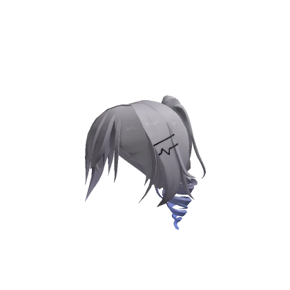 Gray and Blue Ponytail Drill