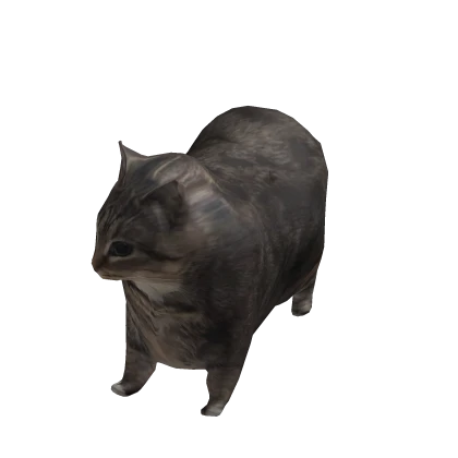 Mini Oiiaioooooiai Cat Suit