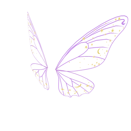 Night Sky Purple Butterfly Wings