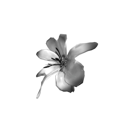 gothic b&w lily 百合花♡