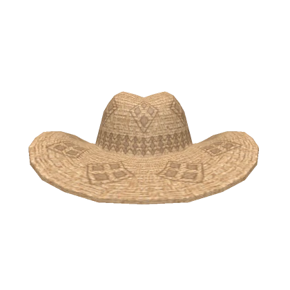 Coastal Cowboy Hat