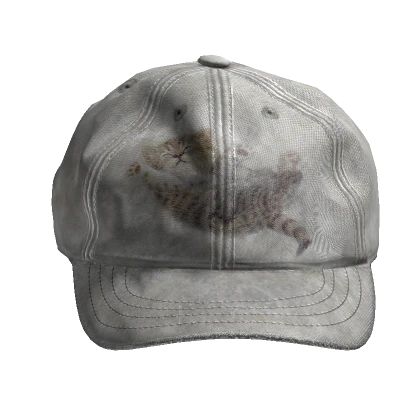 Wrinkly Distressed kitty cat print cap