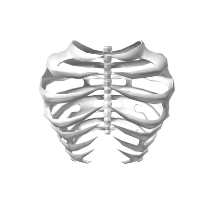 Chibi Doll Silver Rib Cage