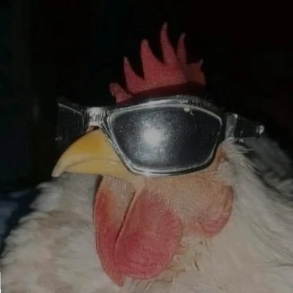 extremely chill rooster pfp