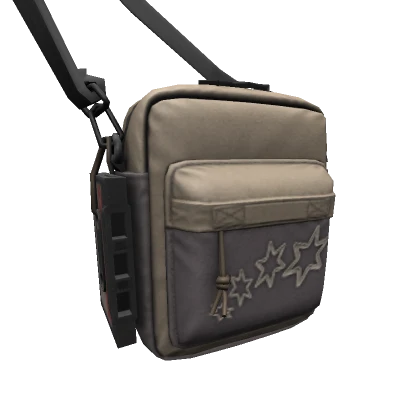 (3.0) Y2K Crossbody Pouch