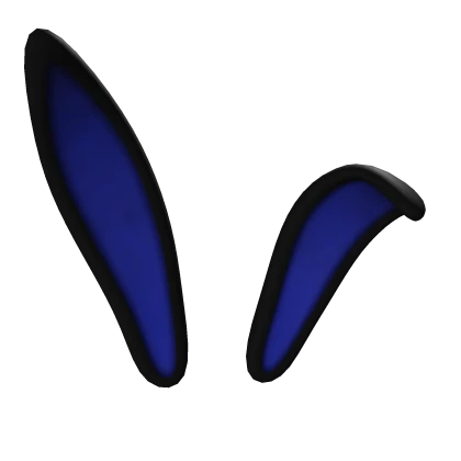 Blue and Black Bunny Ears