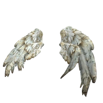 Godly Angel Waist Wings 