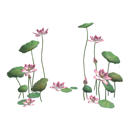 Lotus V2