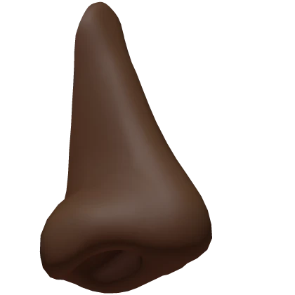 Nose