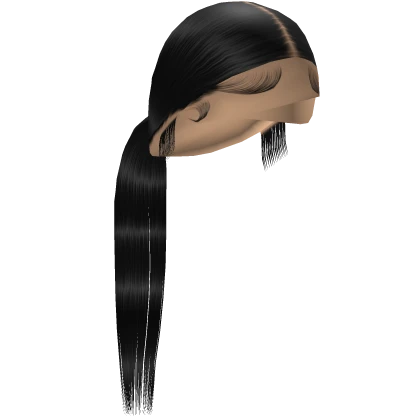 Sleek Low Ponytail
