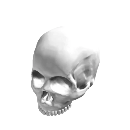 White Skull (Hand)