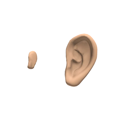 Realistic Anime Base Ears