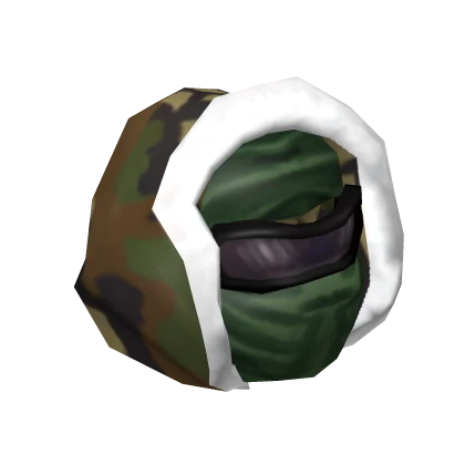 Camouflage Assassin