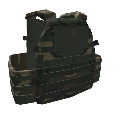 RBT 6094 M81 Plate Carrier