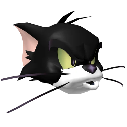 Tom Head Tom & Jerry